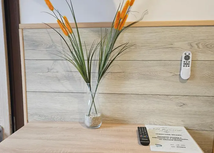 Goscinne Nad Jeziorem Tychy